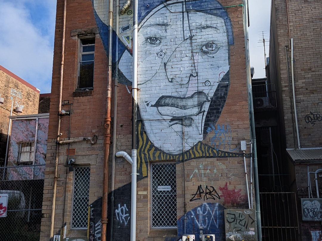 Street Art Walk - by Street Art Murals Australia-卡通巴必去景点