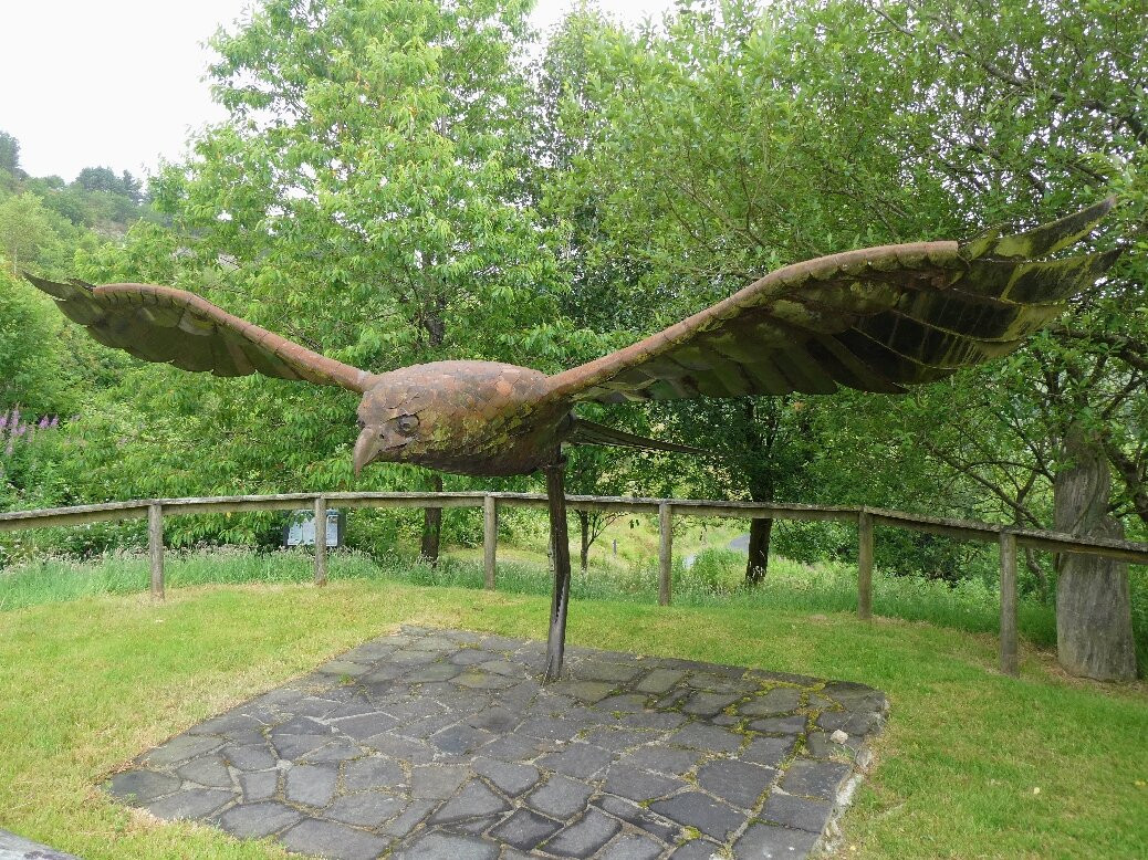 Bwlch Nant yr Arian Forest Visitor Centre-阿伯里斯特威斯必去景点