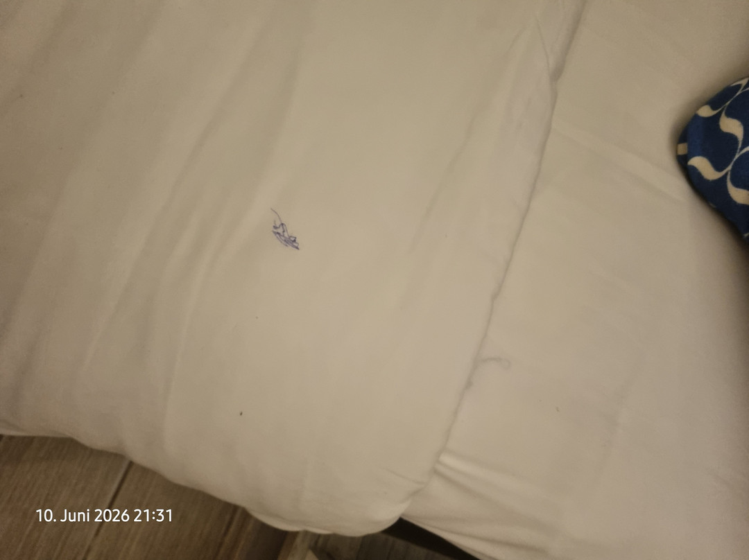 百乐宫海滩度假酒店与水疗中心主图