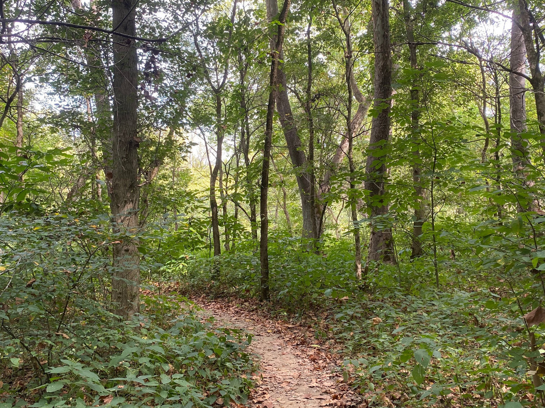 Rockbridge State Nature Preserve-Rockbridge必去景点