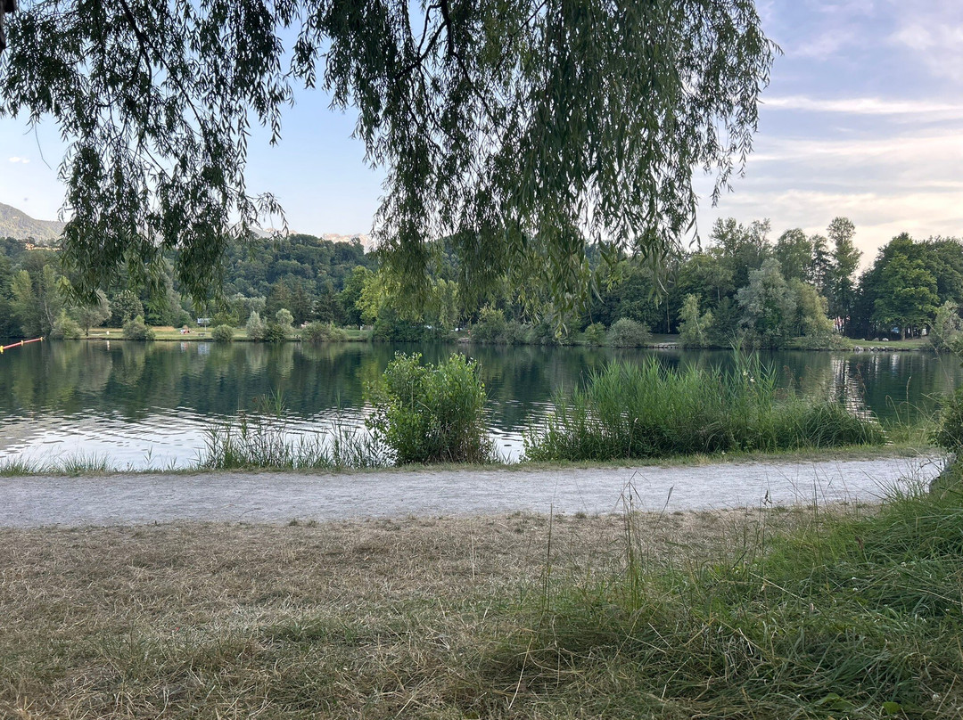 Le Carouge