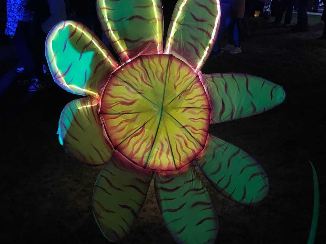 East Gippsland Winter Festival-莱克斯恩特伦斯必去景点
