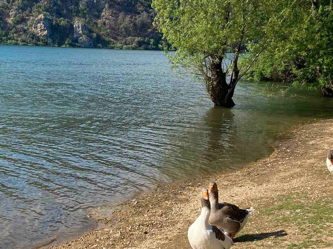 Ziros Lake-Pedopoli Zirou必去景点