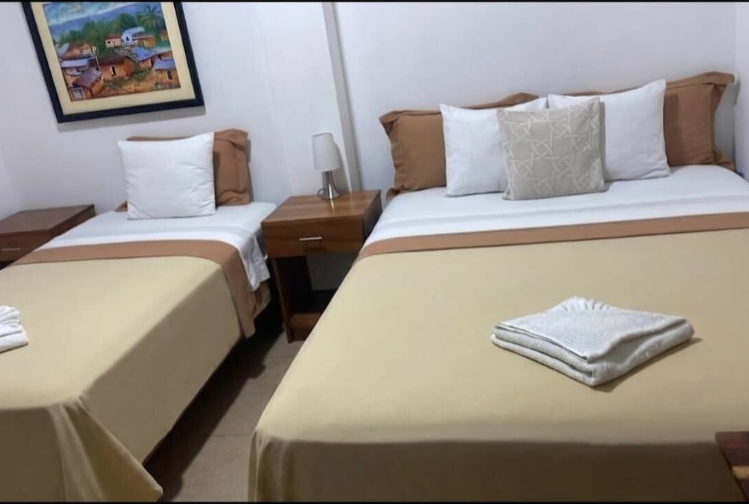 菲茨卡拉德酒店主图