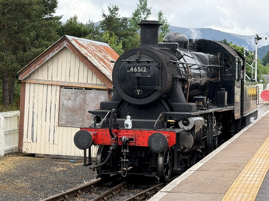 Strathspey Railway-阿维莫尔必去景点