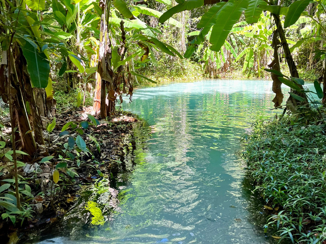 Cerrado Dourado Expedições-Jalapao State Park必去景点