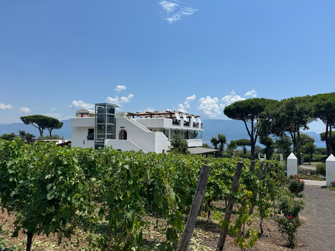 Cantina del Vesuvio Winery-Trecase必去景点