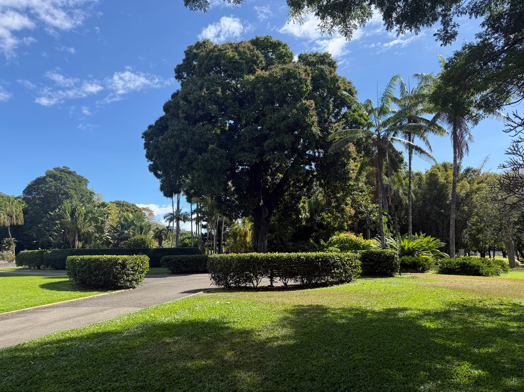 Queens Gardens Townsville-North Ward必去景点