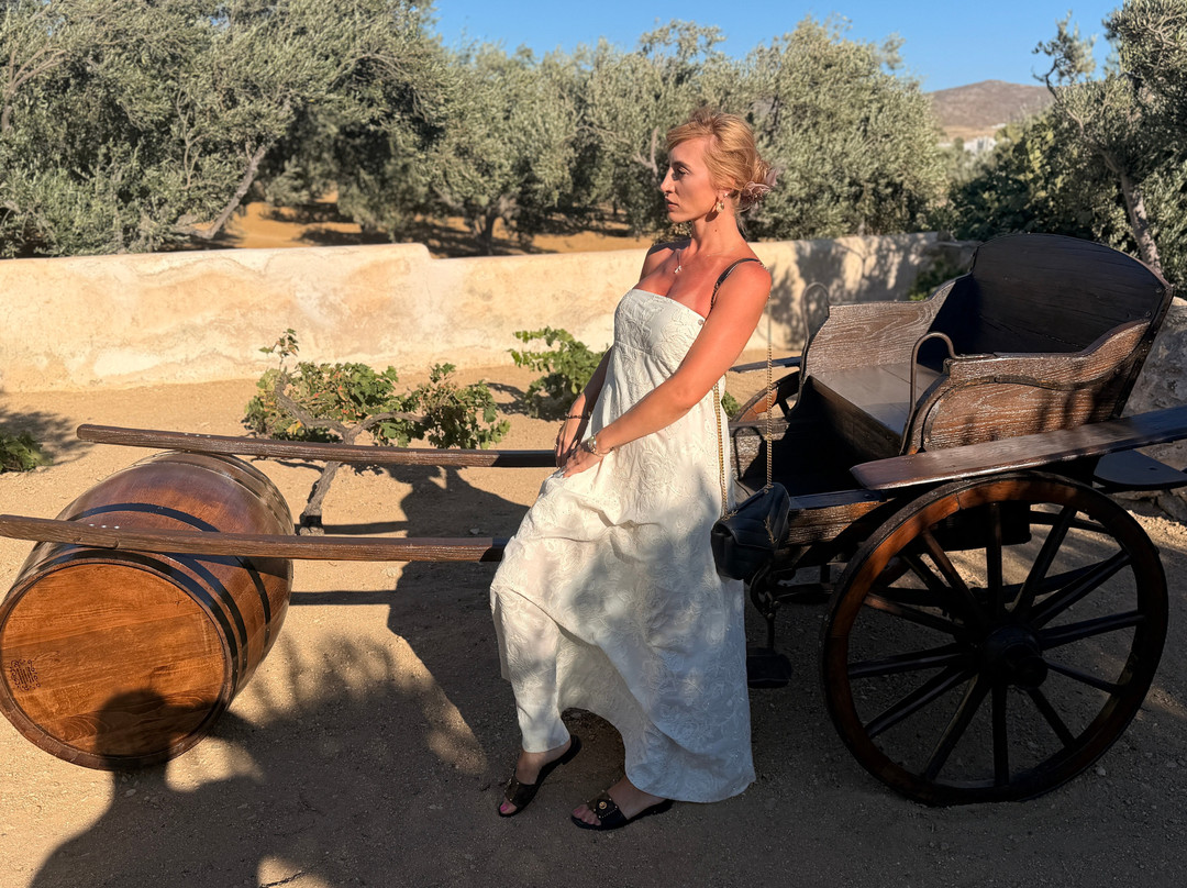 Tour In Mykonian Land & Wine Tasting-Marathi必去景点
