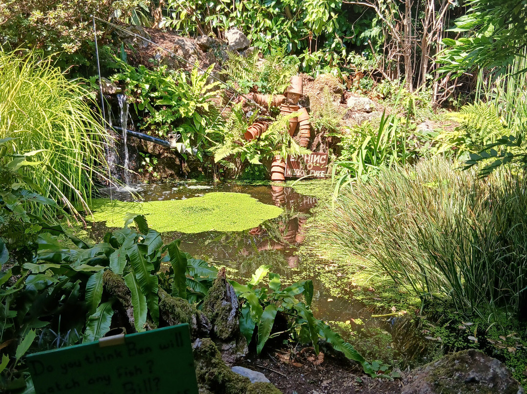 Plant World Gardens & Nursery-牛顿阿伯里必去景点