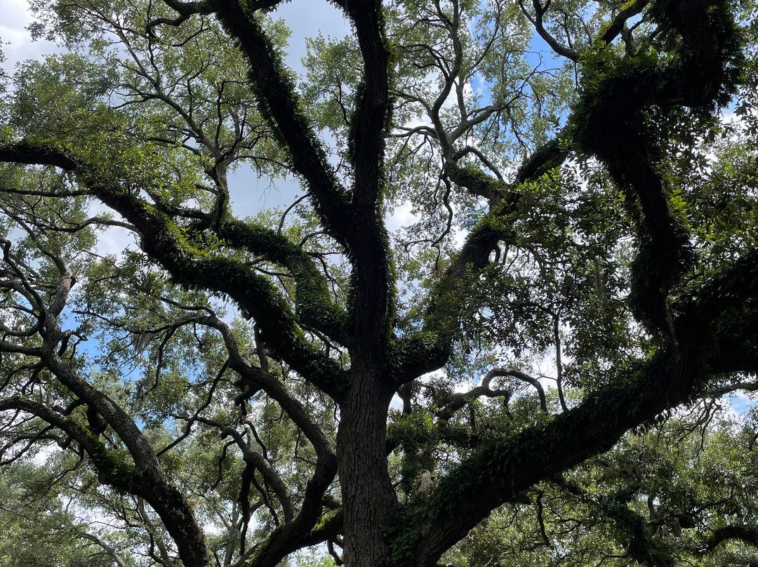 萨凡纳历史区-萨凡纳必去景点