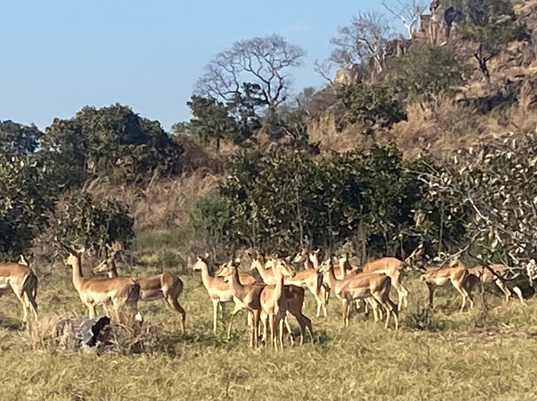 Letaka Safaris-马翁必去景点