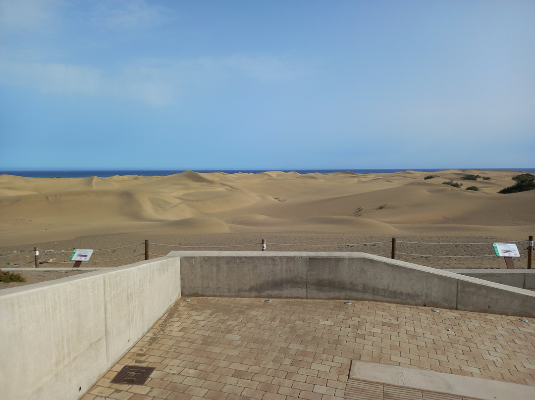 Reserva Natural Especial de Las Dunas de Maspalomas-马斯帕洛马斯必去景点