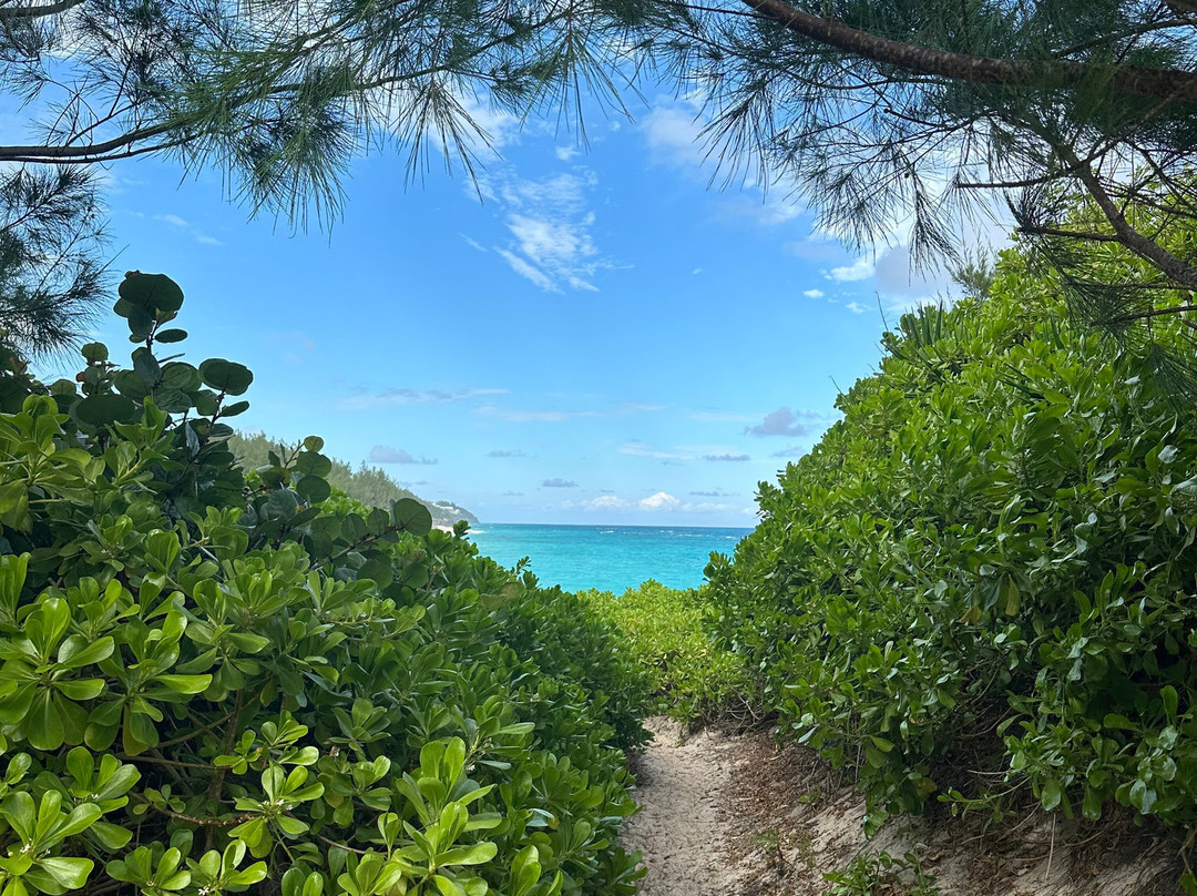 Jobson's Cove Beach-Warwick Parish必去景点