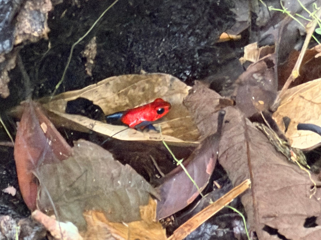 Issys Tours Costa Rica-萨迪纳尔必去景点
