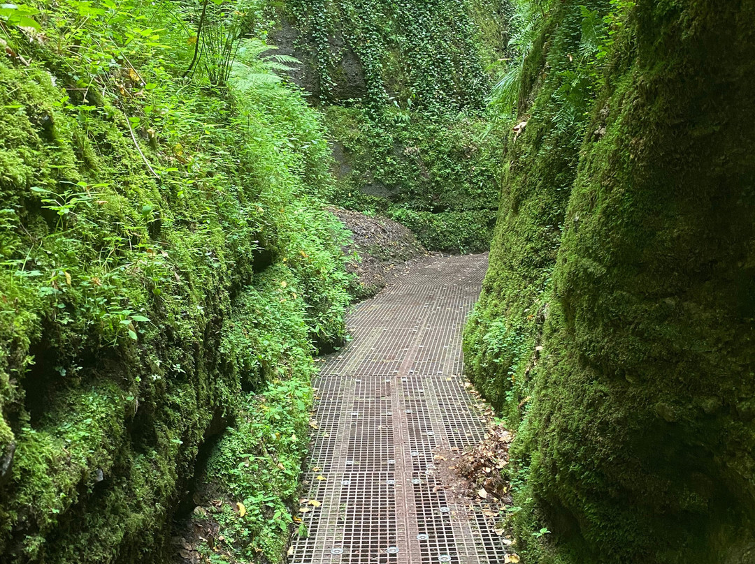 Drachenschlucht / Landgrafenschlucht-艾森纳赫必去景点