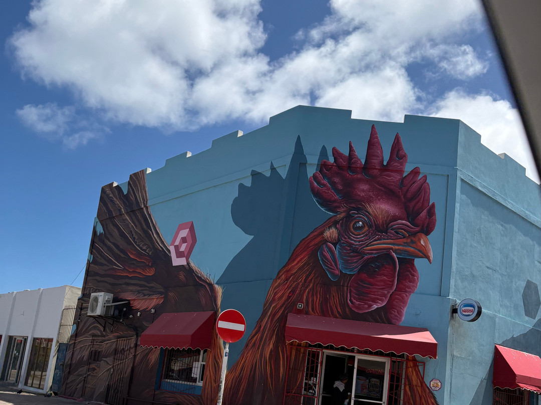 Street Murals By Aruba Art Fair-San Nicolas必去景点