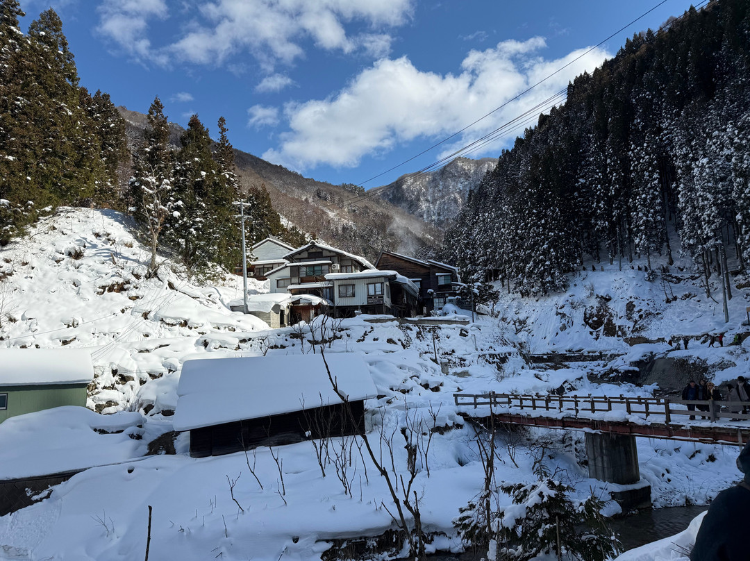 地狱谷雪猴公园-山之内町必去景点