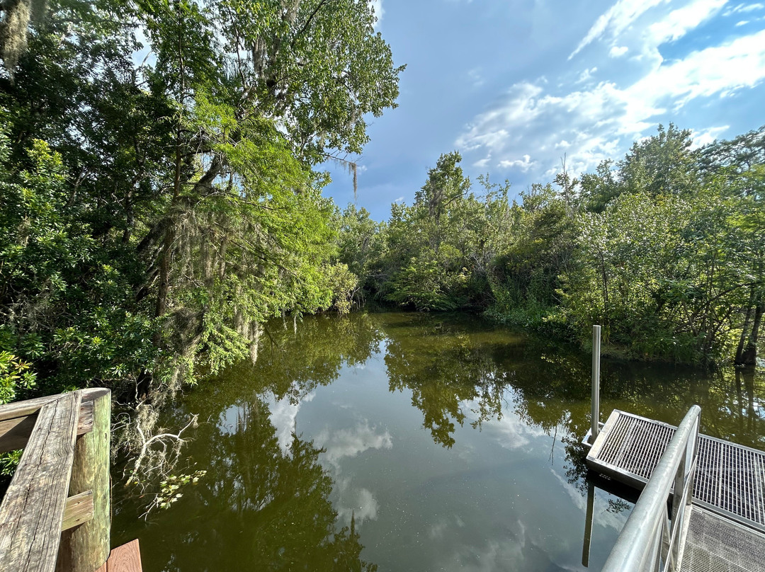 Welaka State Forest-Welaka必去景点