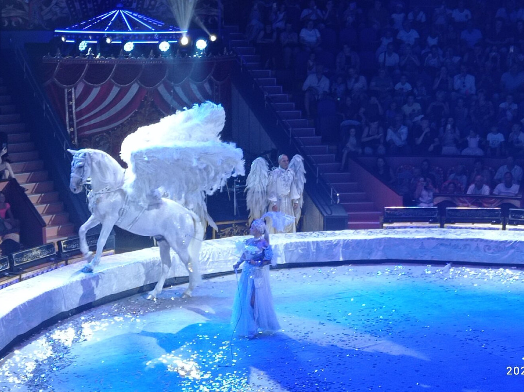 Sochi State Circus-索契必去景点