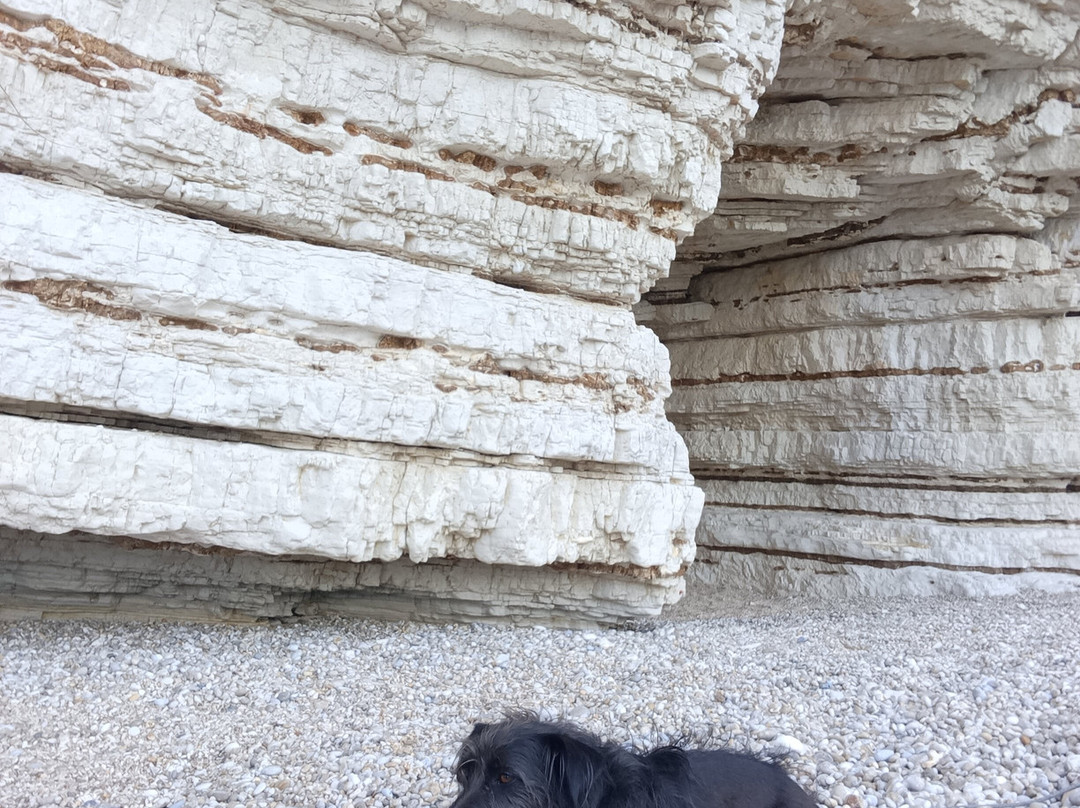 Spiaggia di Vignanotica-维耶斯泰必去景点
