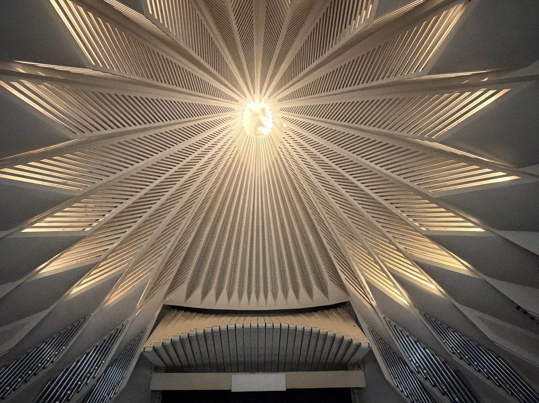 Tenerife Auditorium (Auditorio de Tenerife)-圣克鲁斯-德特内里费必去景点