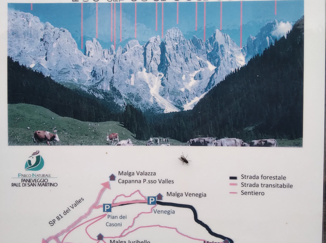Val Venegia e Baita Segantini-特伦托必去景点