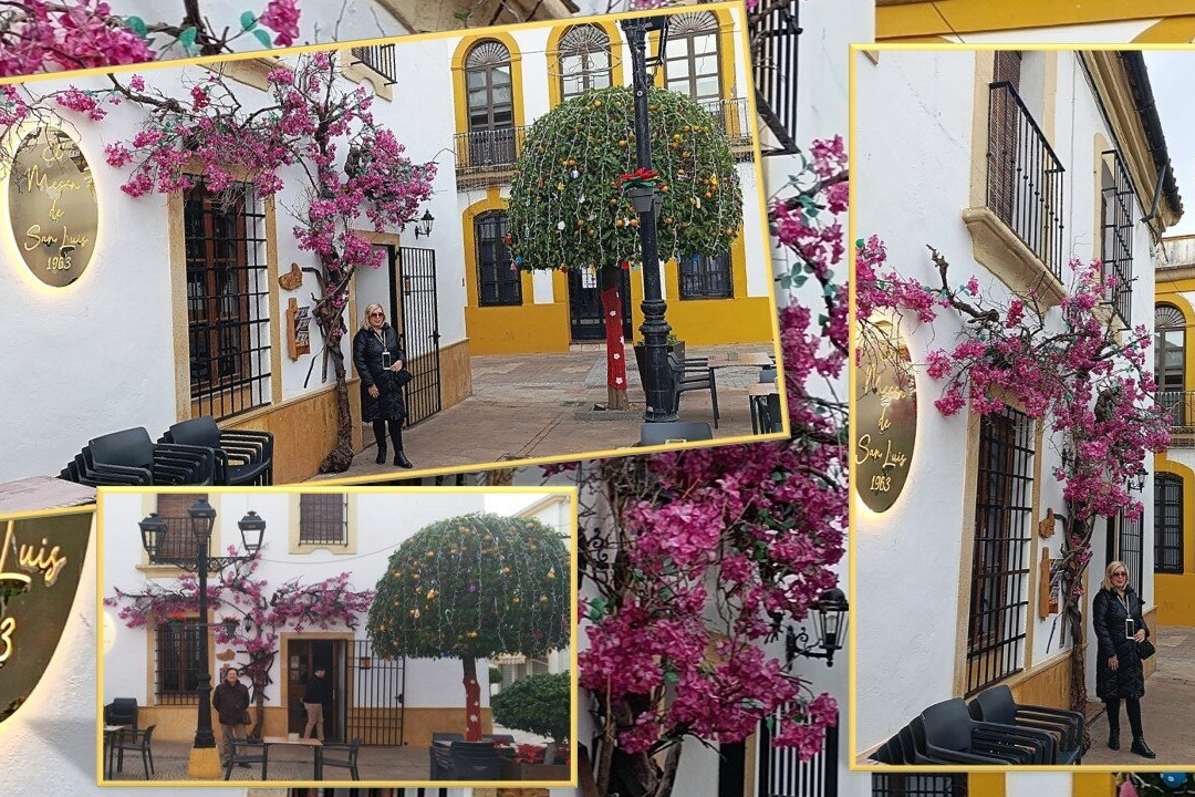 EL MESÓN de San Luis