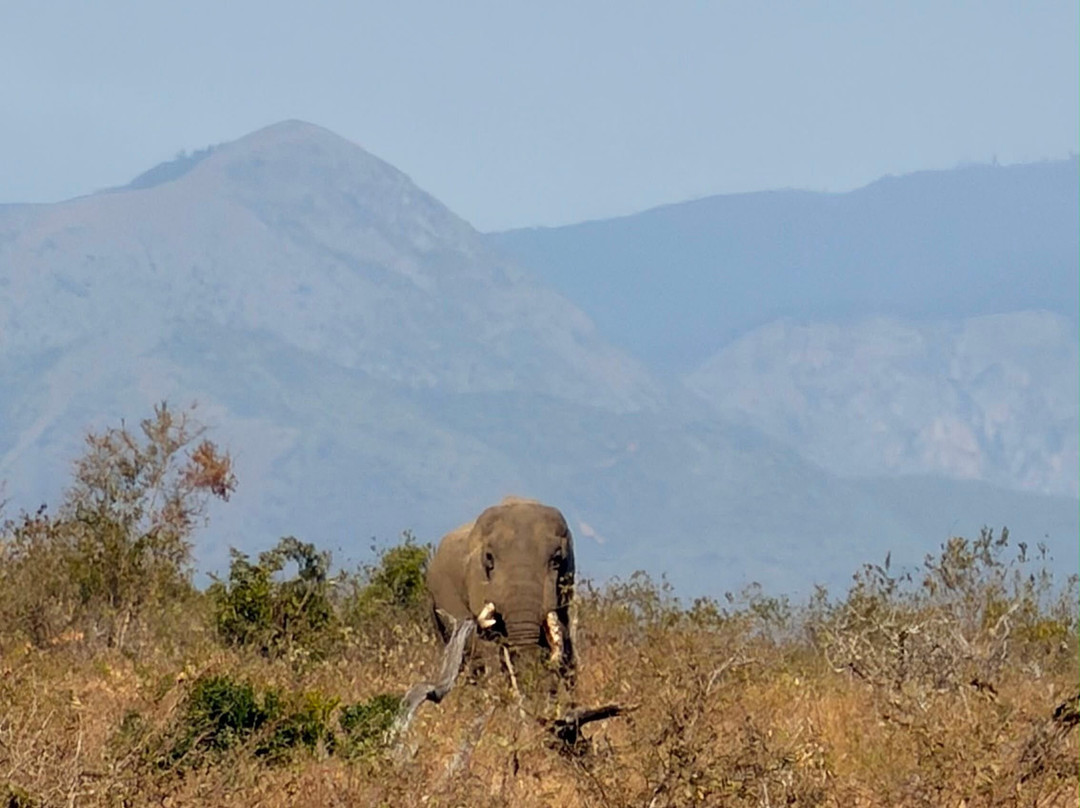 Southern Kruger Safaris-玛洛斯帕克必去景点