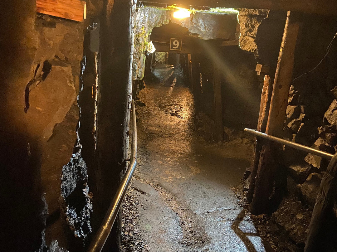 Arigna Mining Experience-Roscommon必去景点