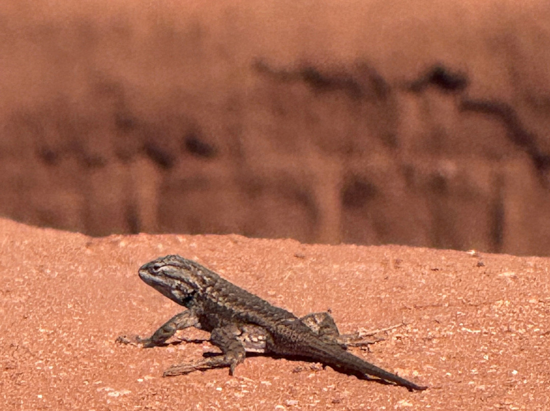 Pecos National Historical Park-Pecos必去景点