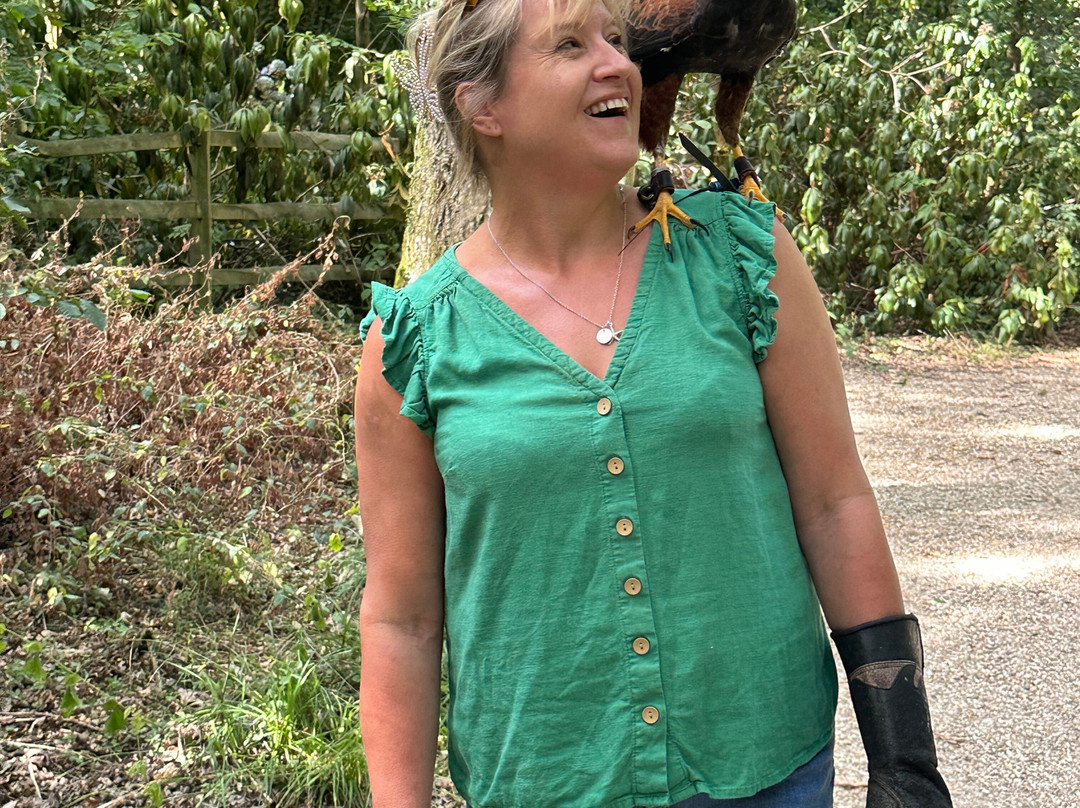 The Falconry Experience-纽波特必去景点