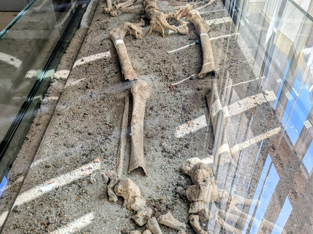 Sozopol Archeological Museum-索佐波尔必去景点