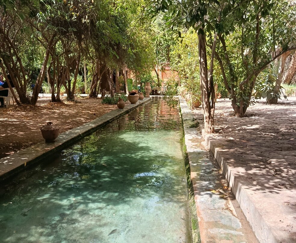 Oasis de Tiout主图