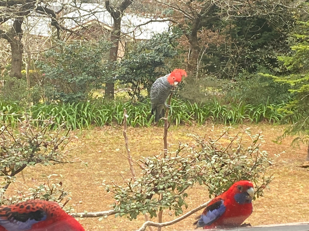 木屋旅馆及公寓主图