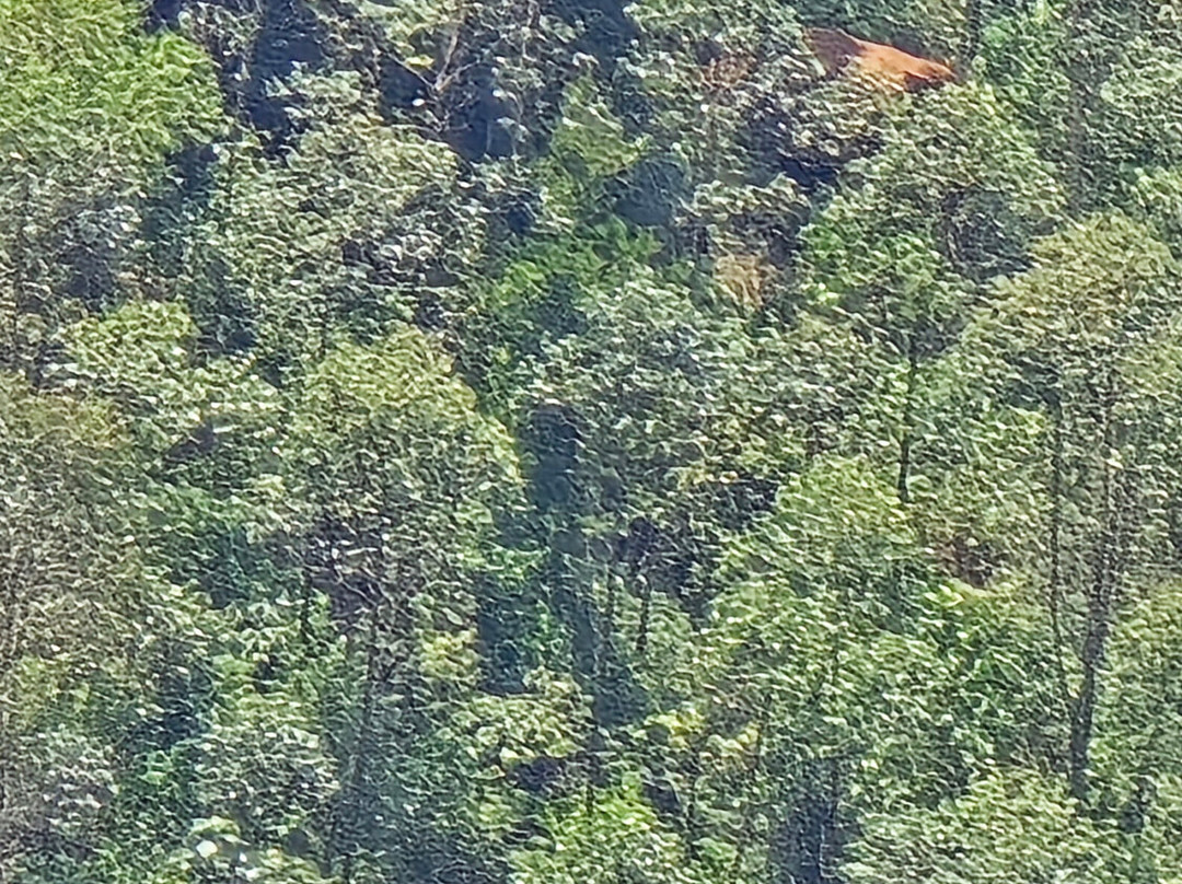 Munnar Hiking Trails-慕那尔必去景点