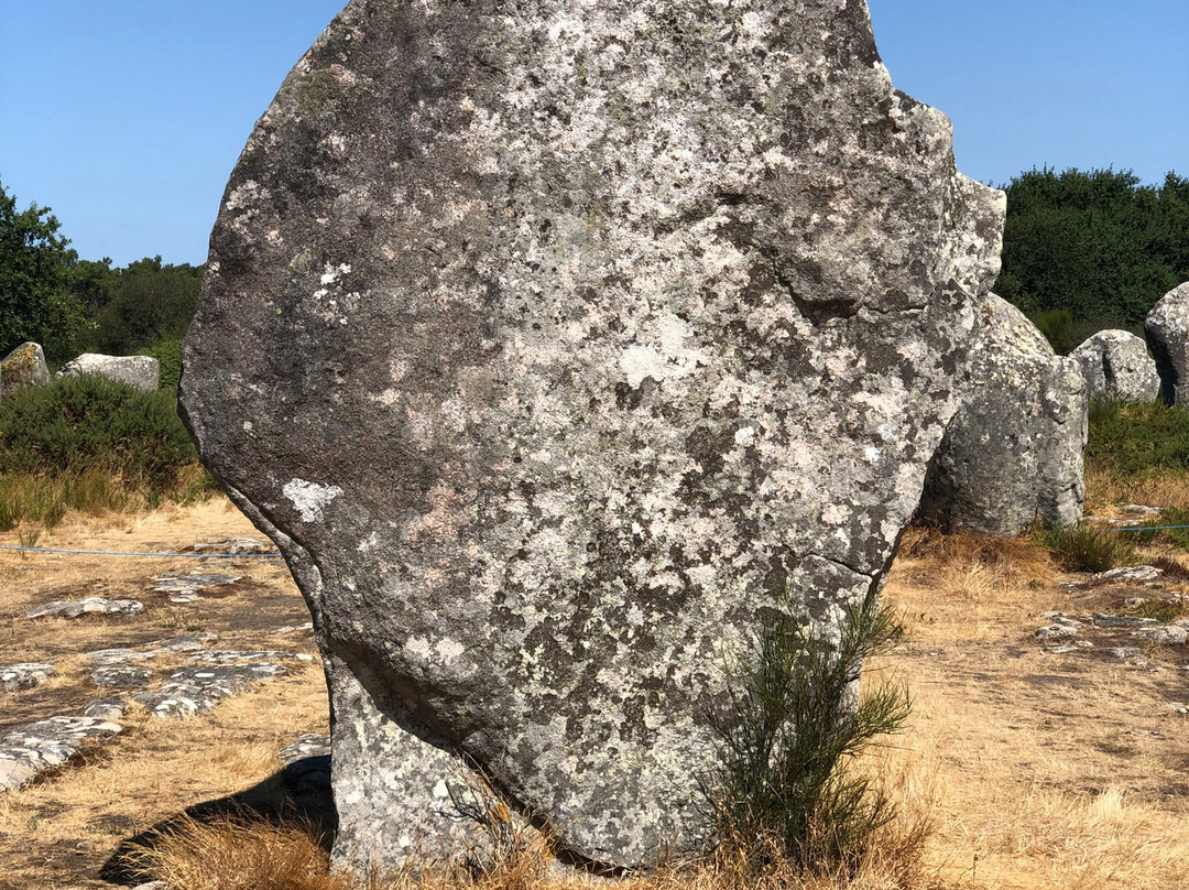 Megaliths of Carnac-卡纳克必去景点