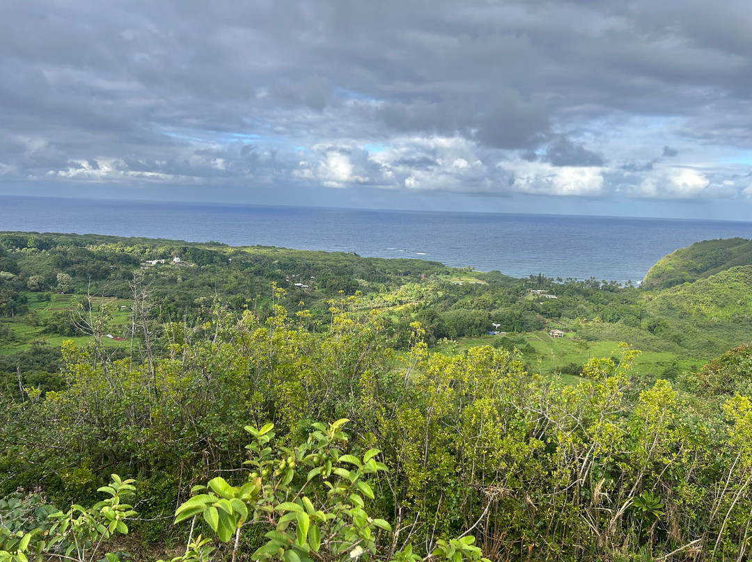 Wailua Valley State Wayside Park-库拉必去景点