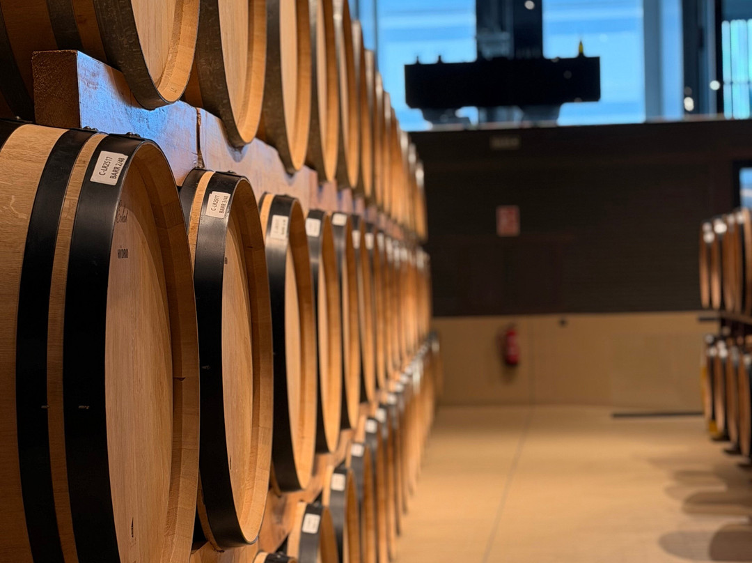 Bodegas Emilio Moro Bierzo-蓬费拉达必去景点