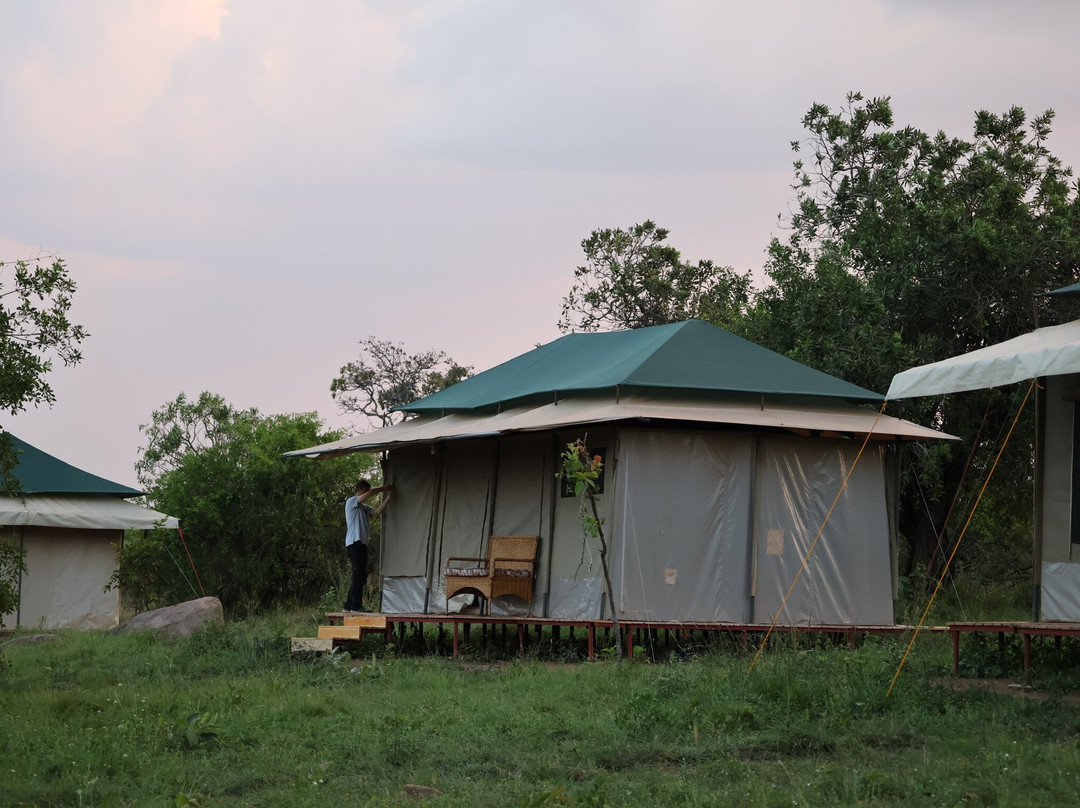 Sero Tented Camp-Seronera必去景点