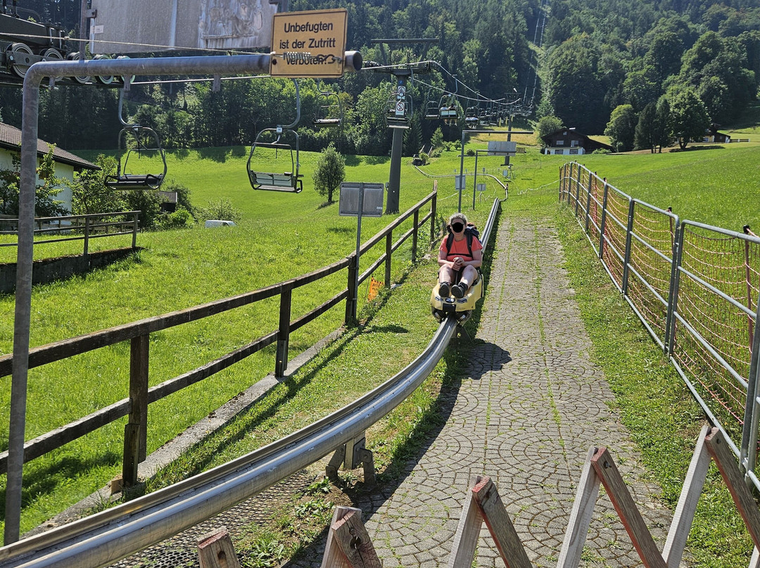 Sommerrodelbahn Keltenblitz-泉杜伦山必去景点