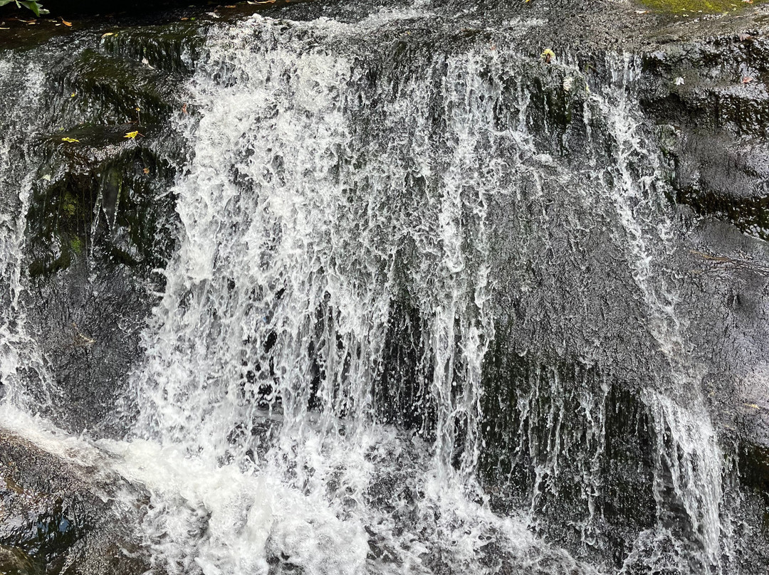Lake Glenville Scenic Waterfall Cruises-Cashiers必去景点