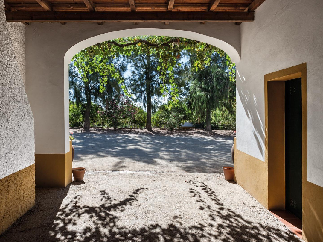 Herdade Grande-Vidigueira必去景点