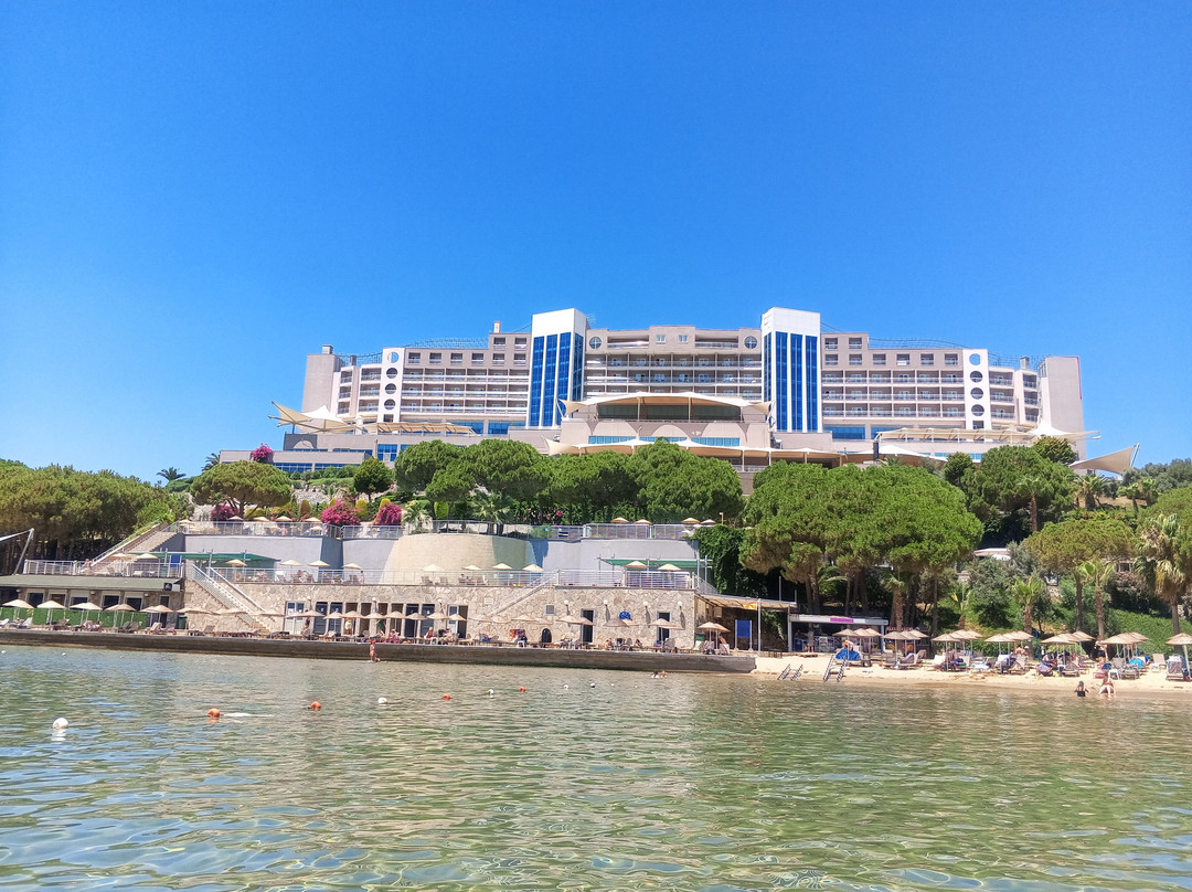 阿里亚克拉罗斯海滩及Spa度假村 - 全包24小时主图