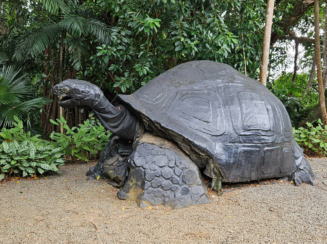 Seychelles National Botanical Gardens-维多利亚必去景点