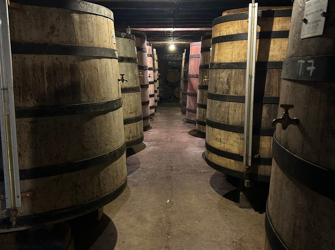 Domaine de Château Guynot-Tesson必去景点