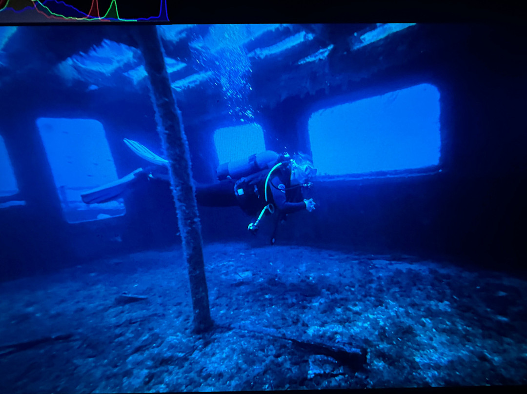 Bubbles Dive Centre-Marsalforn必去景点
