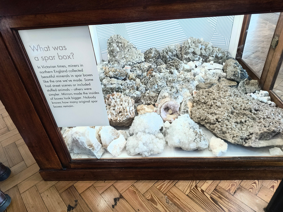 Lapworth Museum of Geology-伯明翰必去景点