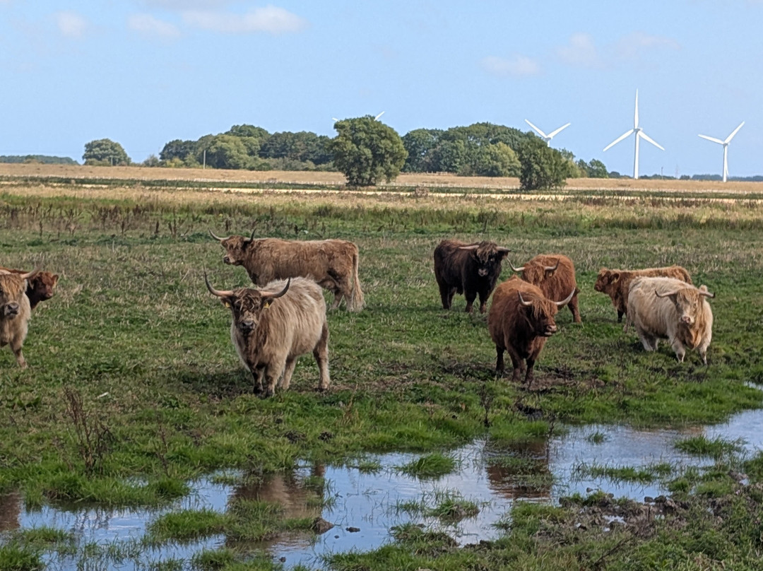 Dumble Farm Conservation-比弗利必去景点