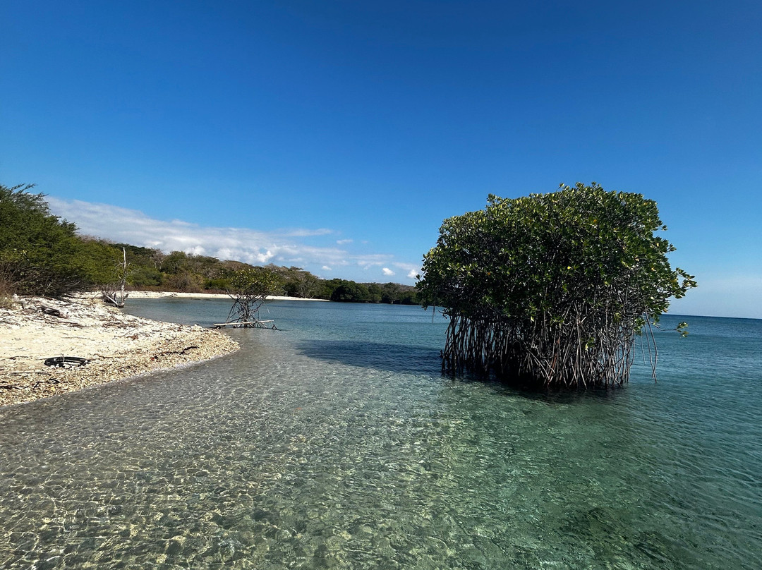 Menjangan Tour Snorkeling & Diving-Pejarakan必去景点